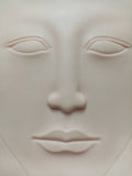 Practice Skin Whole Face