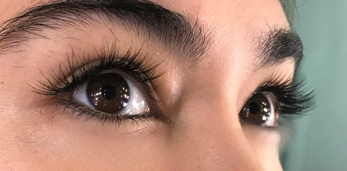 Eyelash Extensions Training with Free Eyebrow Extension demo